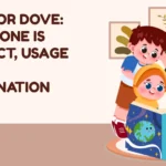 Dived or Dove: Which One Is Correct, Usage and Explanation