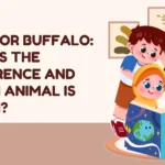 Bison or Buffalo: What's the Difference and Which Animal Is Which?